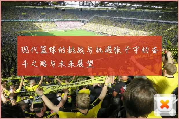 现代篮球的挑战与机遇张子宇的奋斗之路与未来展望